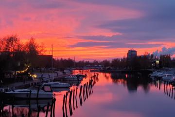 Purppurainen kaupunginlahti