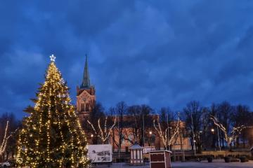 Jouluinen tori