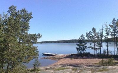 etualalla puu ja taustalla hiekkaranta laitureineen ja muutama mänty