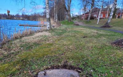 Ruokolanjärven kivi