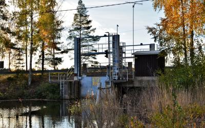 Vintrinrauman veneportti