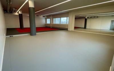 monitoimisalissa peilit seinällä sekä takana tatamilattia sekä ikkunat