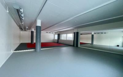 liikuntasali, jossa seinällä peilit ja perällä tatami sekä suojatut pylväät