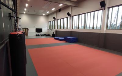 yleiskuva budosalista, lattia tatamia, taustalla ikkunat