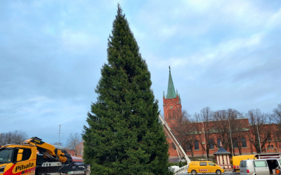 Vihreä iso kuusi torilla.