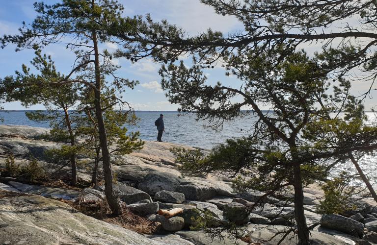 Pamprinniemen luontopolku Pyhämaassa