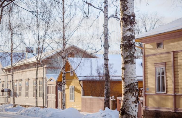 Talvinen puutalomaisema