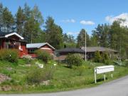 Kalannin koivulehdon aluetta