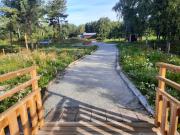 Luontolavalle johtavaa tietä reunustavat rantaniittykasvit