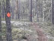 Hiun ulkoilureitin merkintöjä