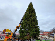 Iso kuusi pystyssä torilla.