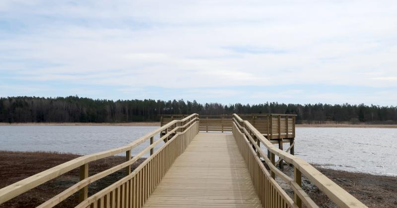 Kasarminlahden luontolava