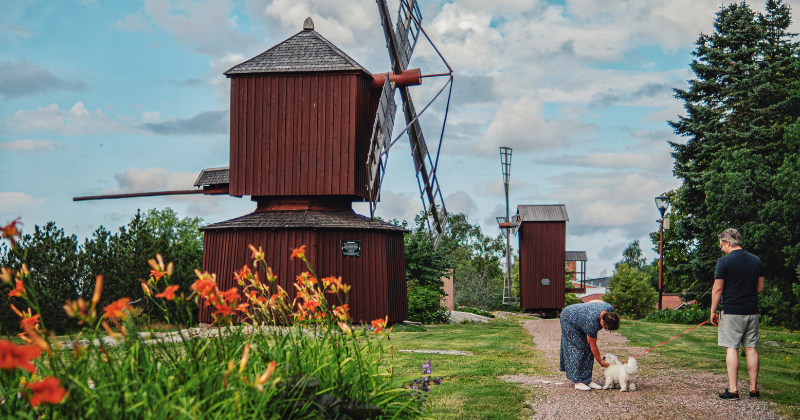 Nainen rapsuttaa pientä valkoista koiraa, jota mies taluttaa. Taustalla kaksi punaista tuulimyllyä.