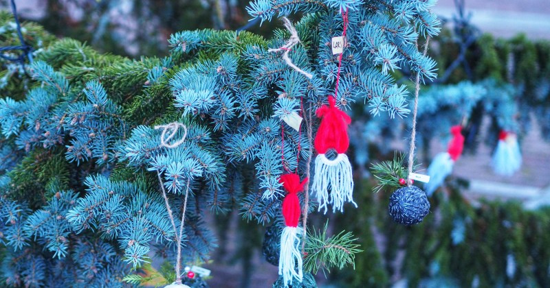 Piirretyt kuuset ja kuusenpallo.