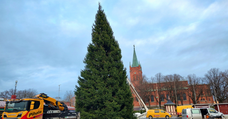 Vihreä iso kuusi torilla.