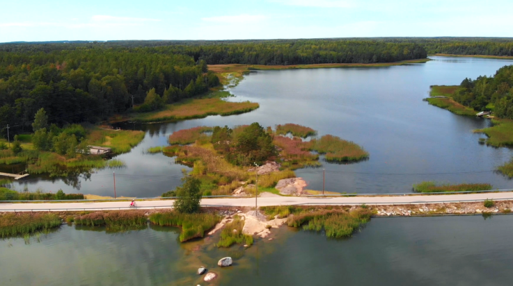 Velhoveden rengastie