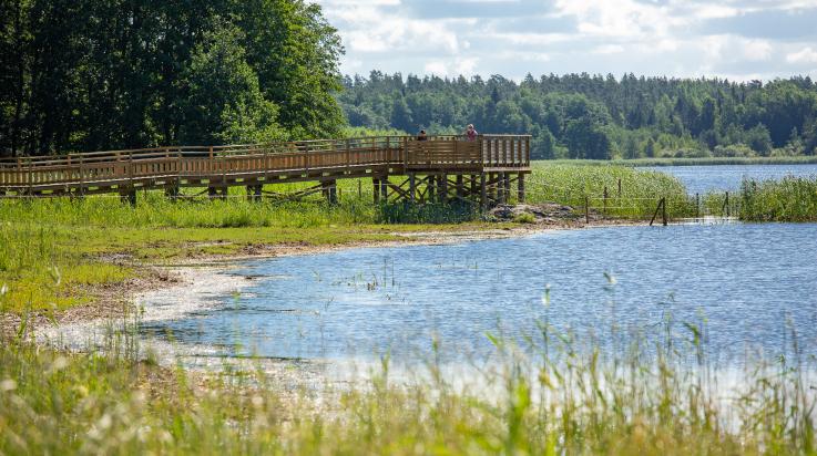 Kasarminlahti esteetön lintulava