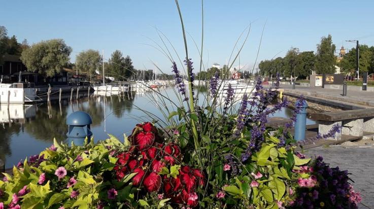 Kaupunginlahden ranta