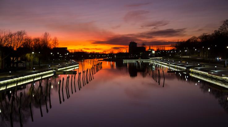 Purppurainen kaupunginlahti