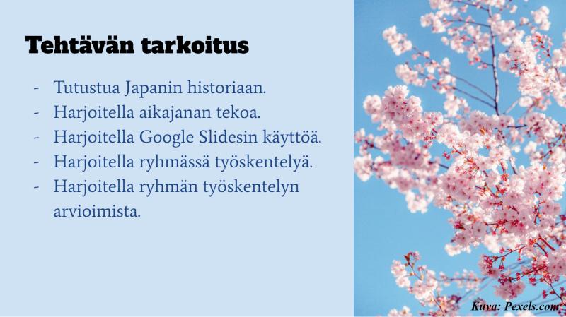 Slides-dia, jossa historian tehtävä ja kirsikan kukkia kuvituskuvana.