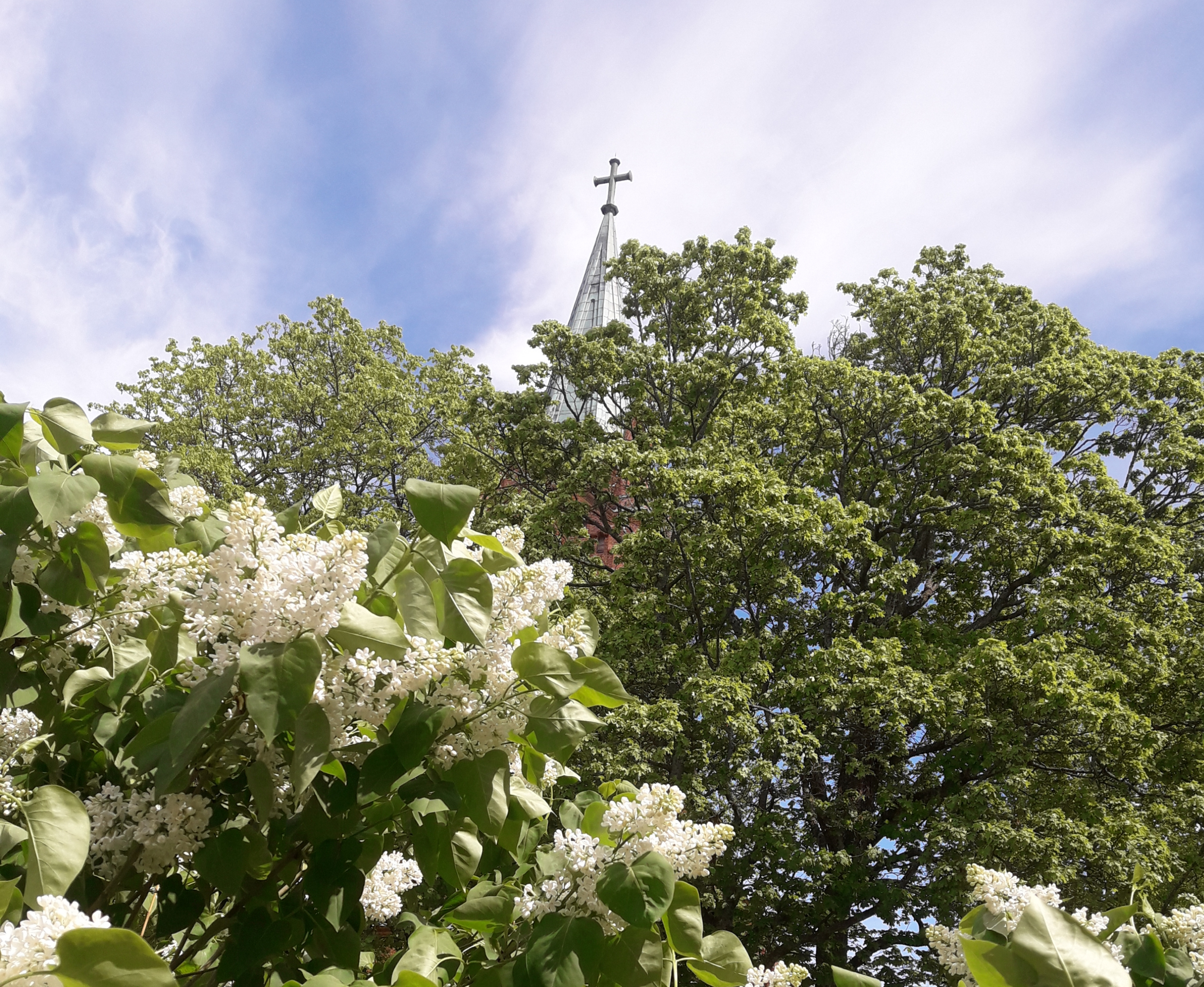 Uusi kirkko vehreyden keskellä