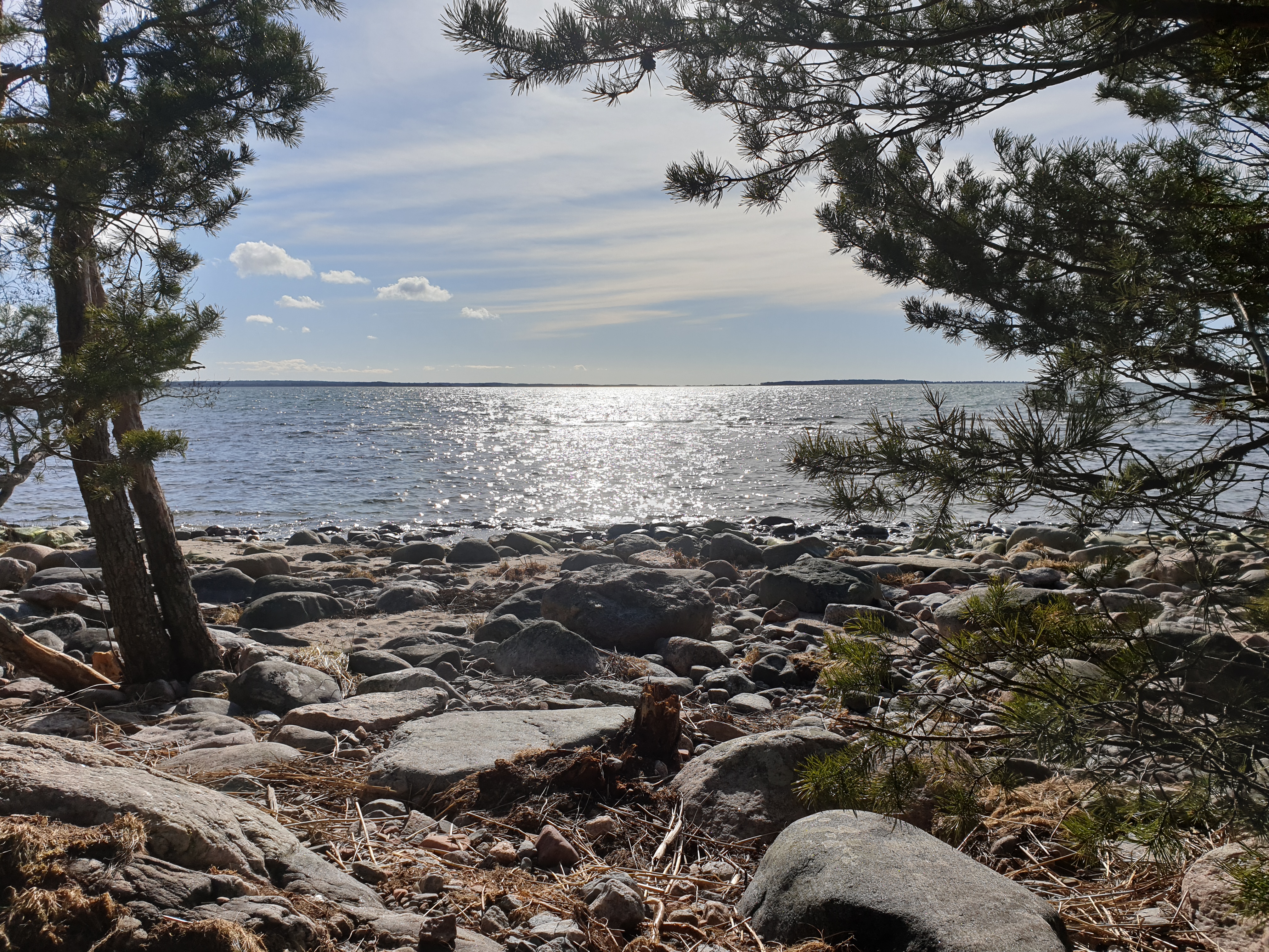 Pamprinniemen näkymä