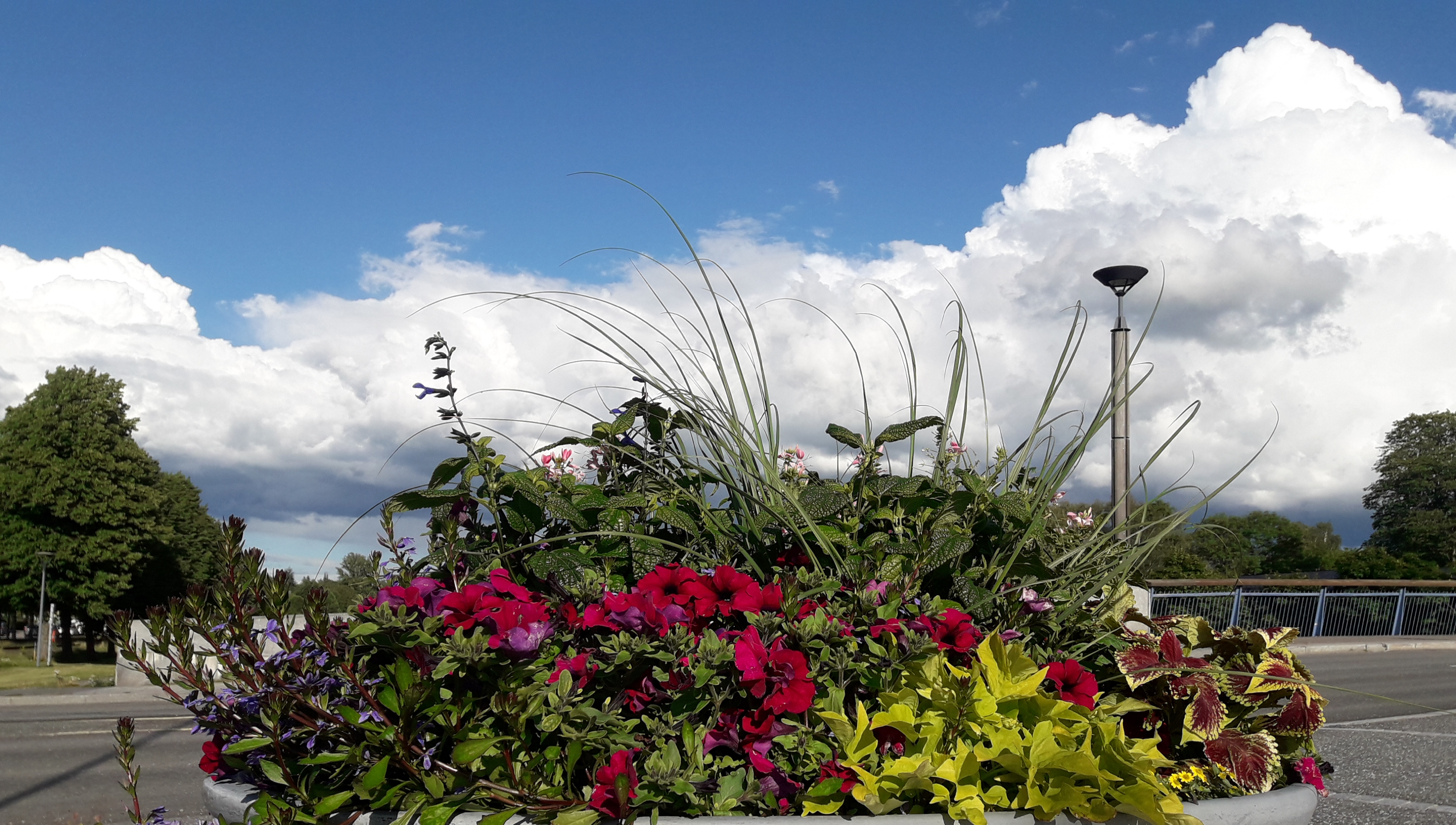 Kukat sillan kupeessa