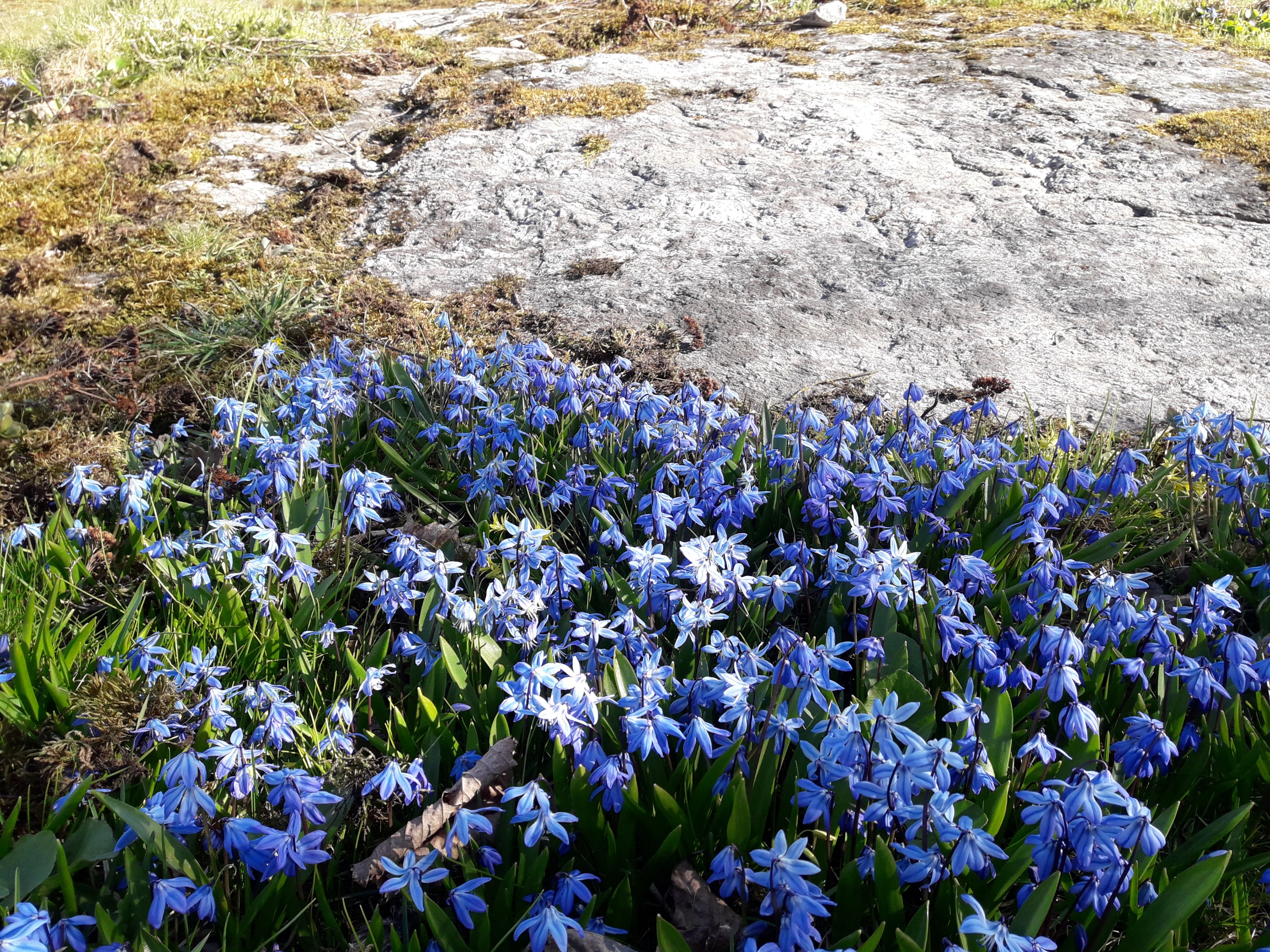 Skillat Vanha kirkko