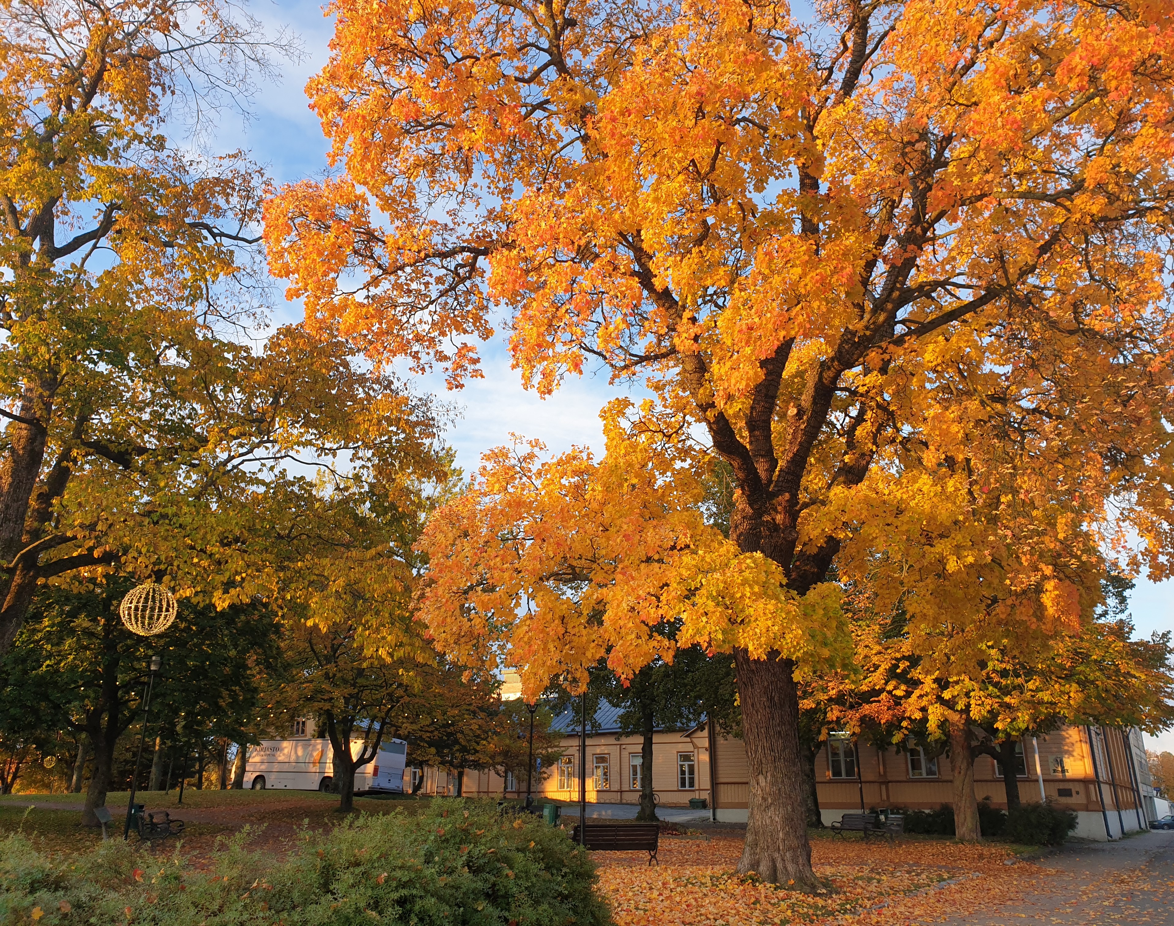 Ruskaa_kirjastonpuistossa