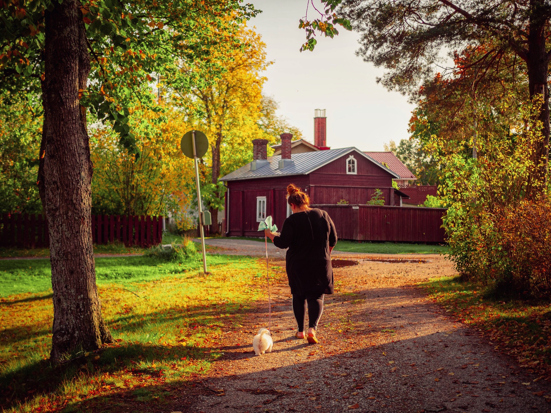 Syksyinen kävelijä Myllymäellä