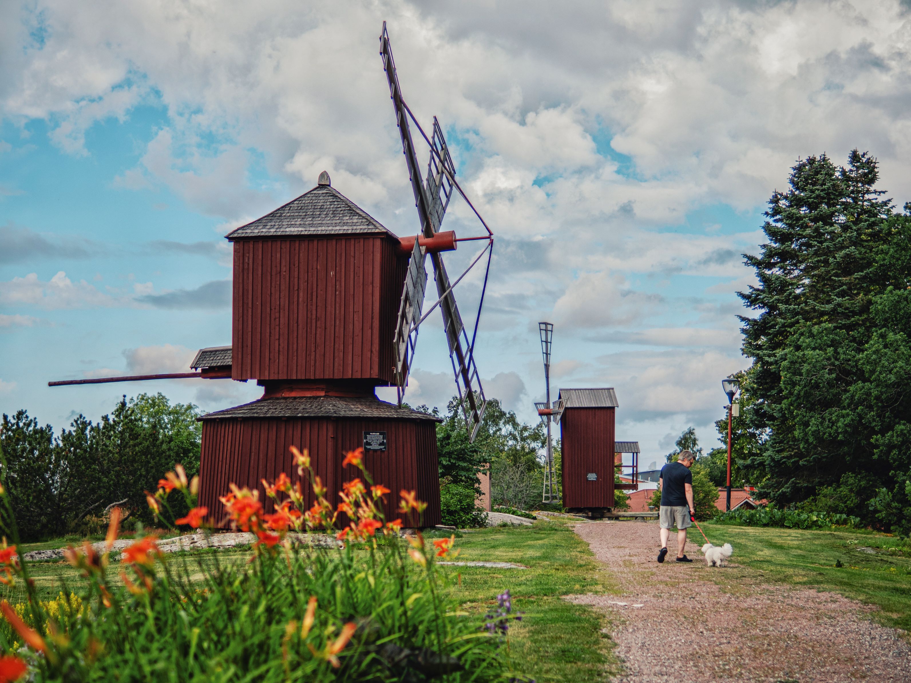 Koiranulkoiluttaja Myllymäellä