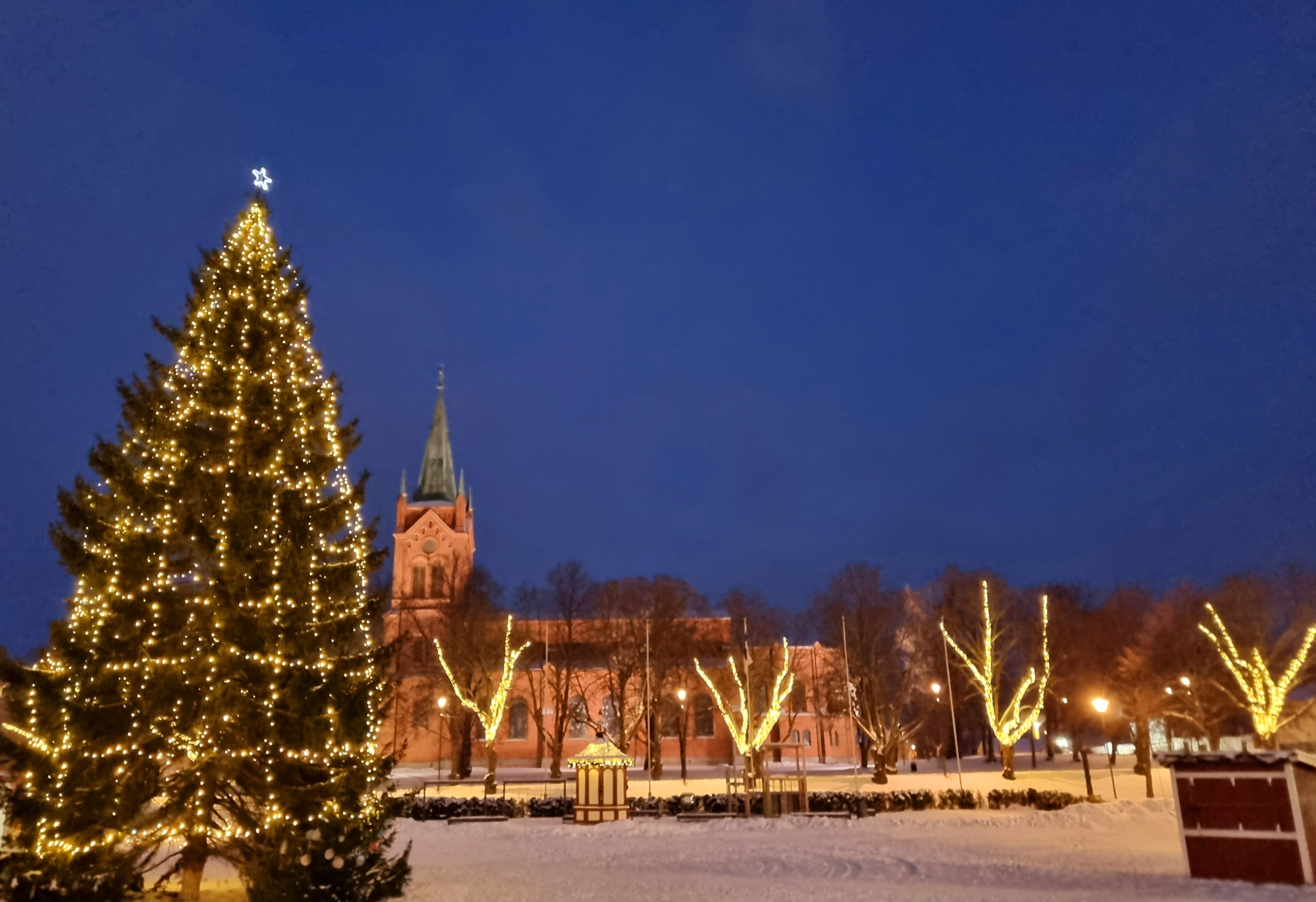 Kuusi torilla ja kirkko takana