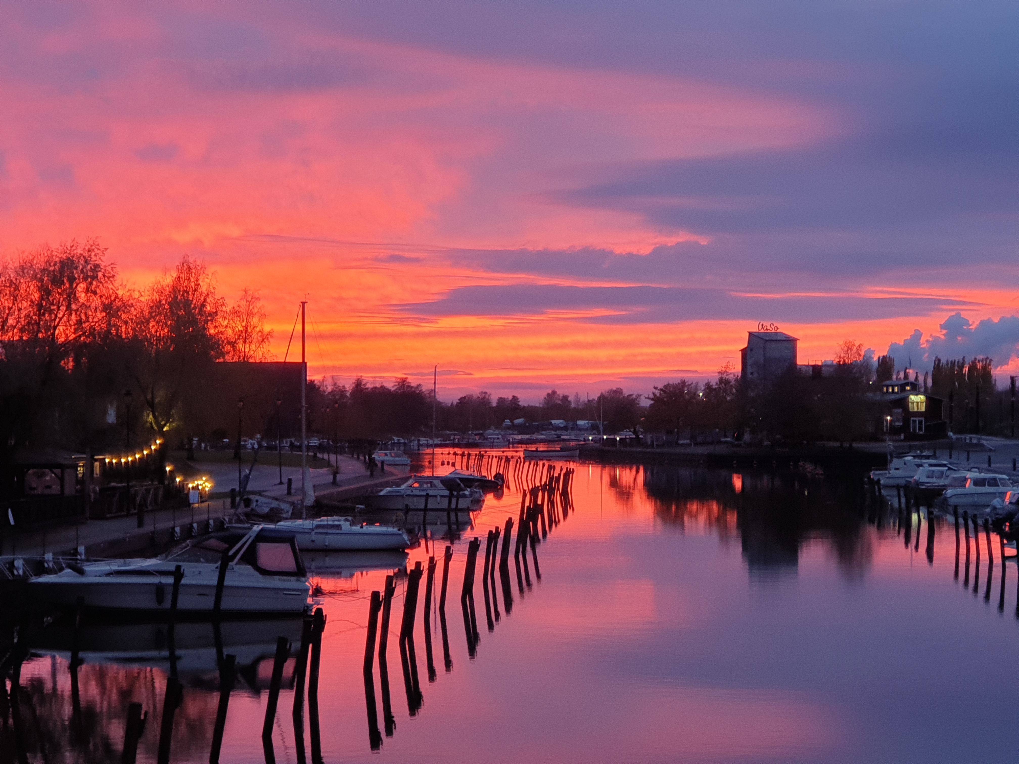 Purppurainen kaupunginlahti