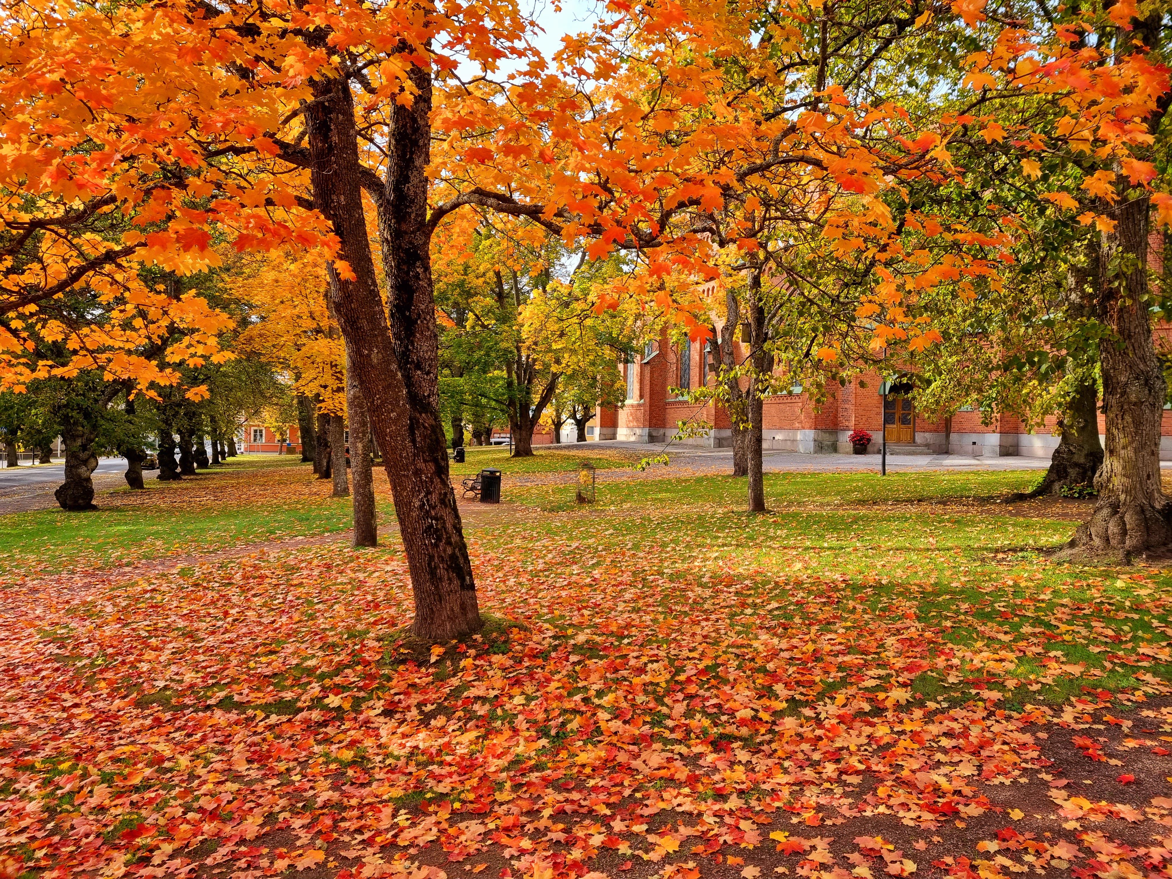 Kirkkopuiston ruskaa