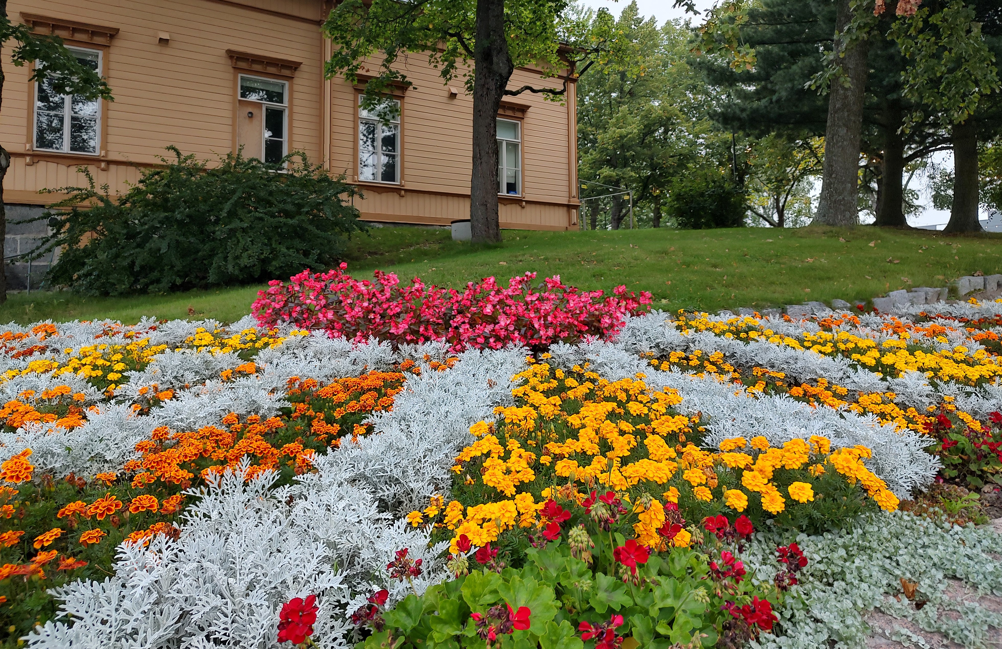 Kirjastonmäen syksy